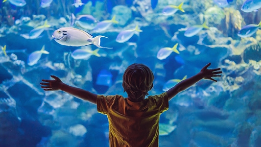 lipno-amenity-resort-zma-lipno_533x300_10